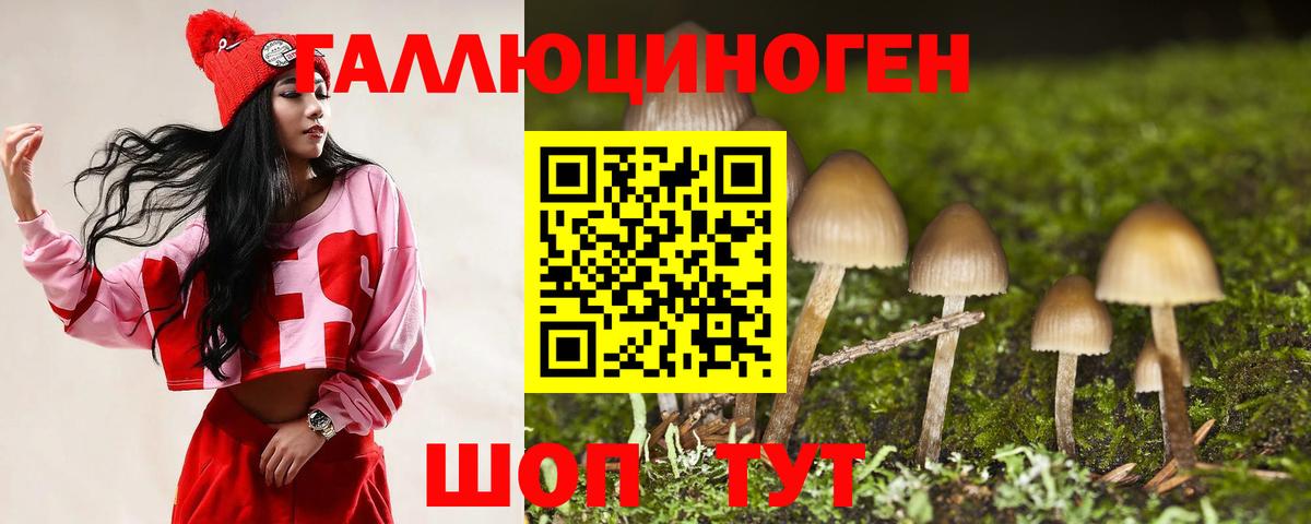 Галлюциногенные грибы Psilocybine cubensis Балахна