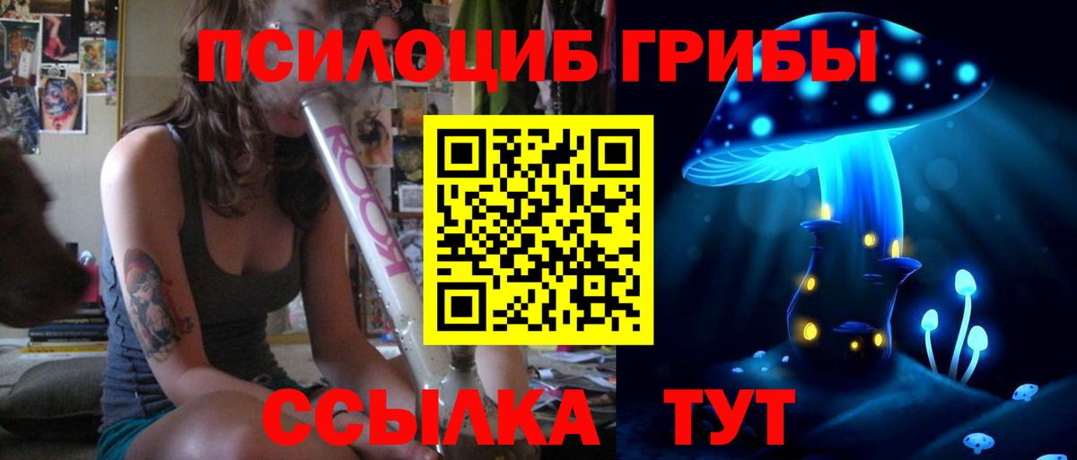 Псилоцибиновые грибы прущие грибы  Псилоцибиновые грибы Psilocybine cubensis  Балахна  Вход с VPN 